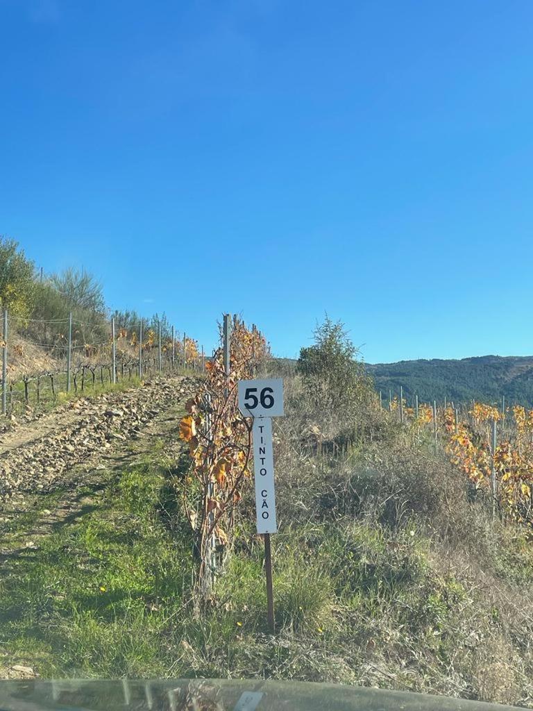 Quinta Da Penada - Vineyard & Winery - Suite 3 Chaves Zewnętrze zdjęcie